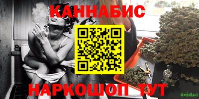 индика Моздок