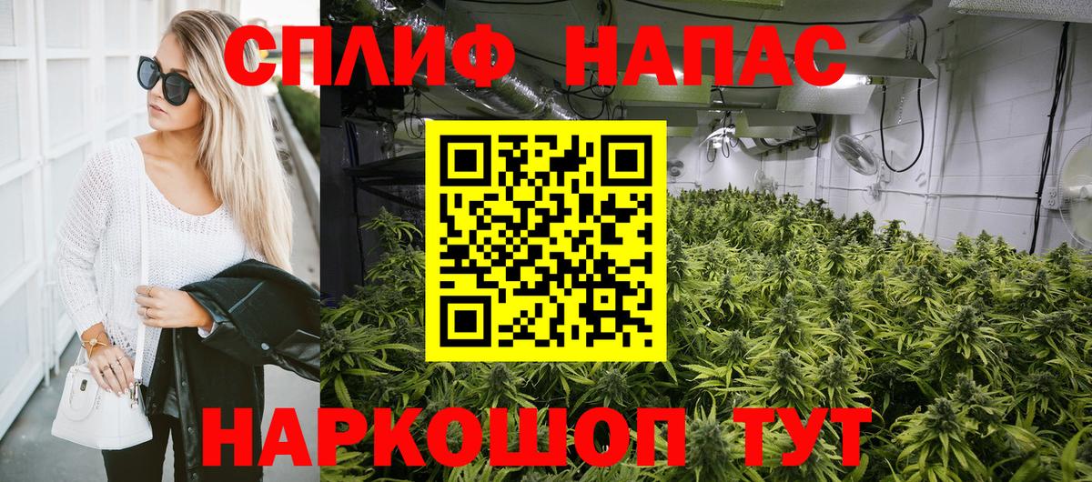 Бошки Шишки семена  Конопля сатива  Вход с VPN  МАРИХУАНА семена  Павлово 